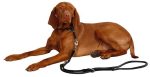 قلاده گردنی کربل Kerbl Leather Choker Roma Stopper سایز 4 - تصویر 3