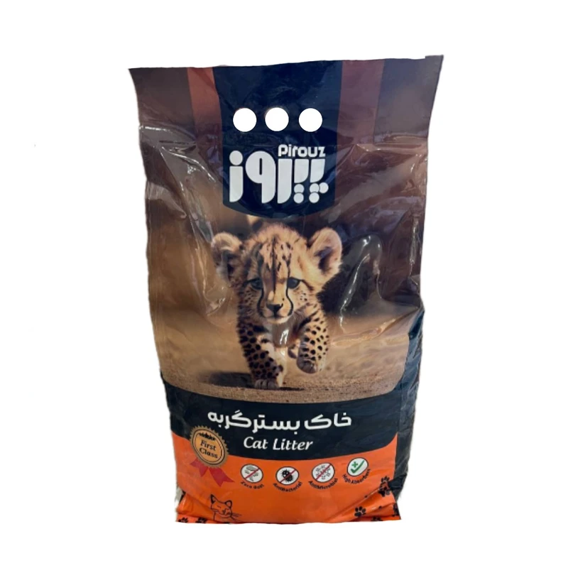 عکس خاک گربه پیروز