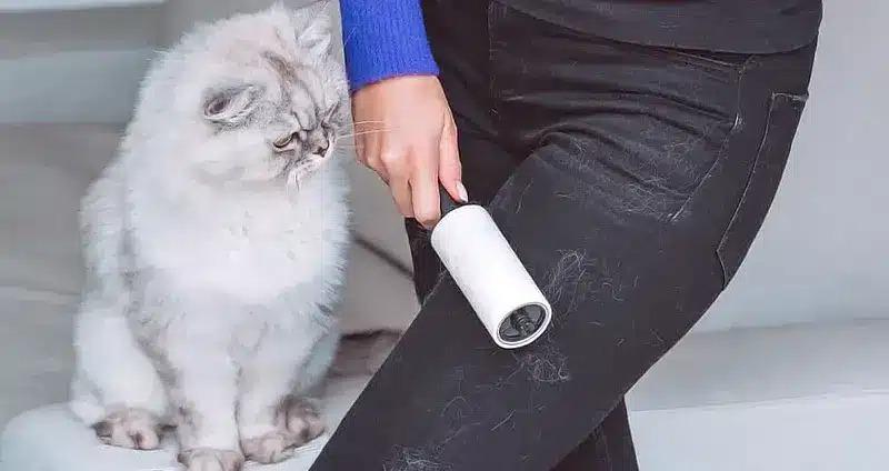 عکس وسایل بهداشتی و نظافت گربه